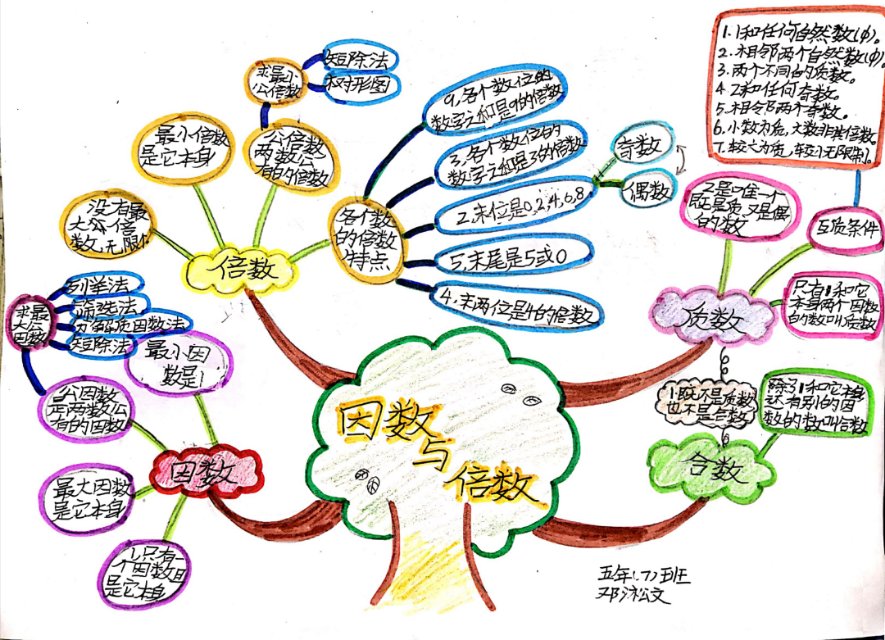 邓淞文--因数和倍数的树状图总结